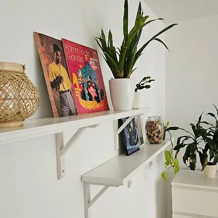 Modern Flat With A Boho Touch